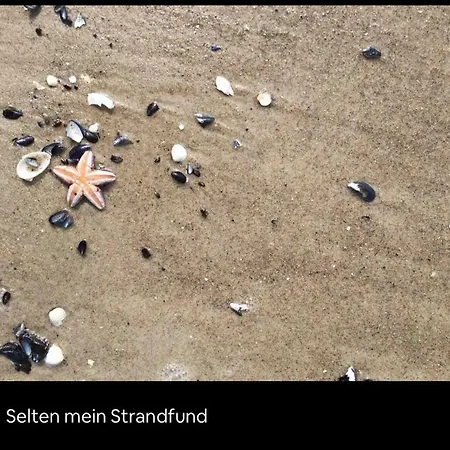 アパート Kleine Acht - Direkt Am