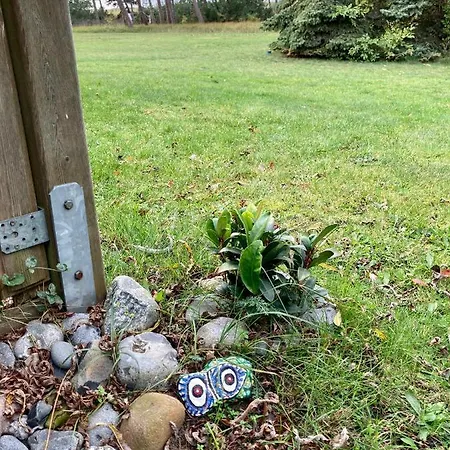 Kleine Acht - Direkt Am *